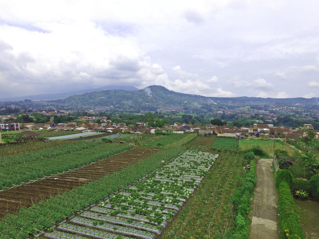 Vila Bunga Merah Gelatik Lembang Exterior photo